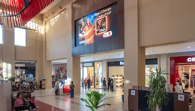 dooh 7